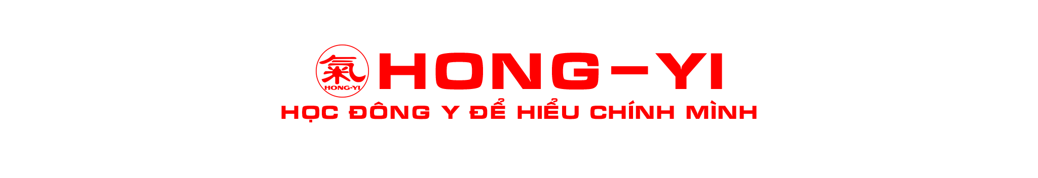 HONG-YI 99VN